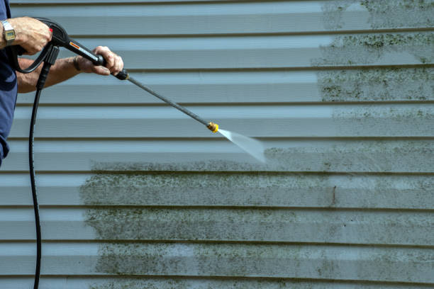 Best Commercial Building Pressure Washing  in Rensselaer, IN