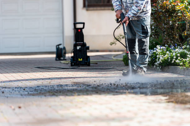 Best Affordable Power Washing  in Rensselaer, IN