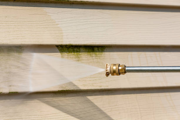 Best Roof Power Washing Services  in Rensselaer, IN