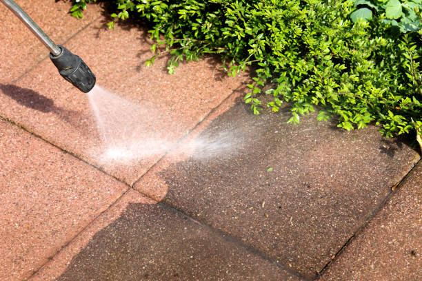 Roof Power Washing Services in Rensselaer, IN